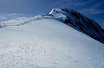 la cresta nevosa finale che conduce in vetta al Similaun (21-6-1998)