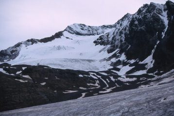 dal ghiacciaio del Dosegù lo sguardo spazia sul vicino Pizzo Tresero (29-6-2003)