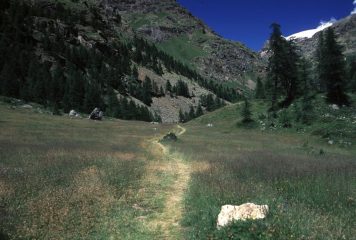 il sentiero lungo i prati di Prarayer (5-7-2003)