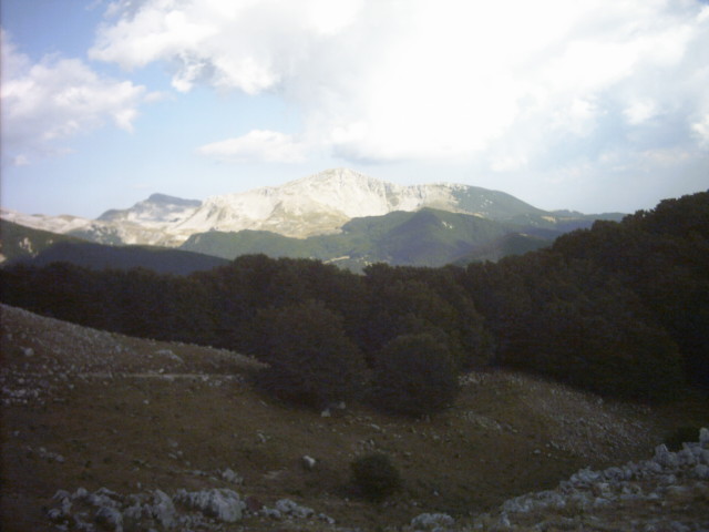 Dalla cresta di Rocca Altiera,panorama sul M.Forcellone.