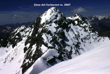 panorami dalla cima : Cima del Corborant (15-5-2005)