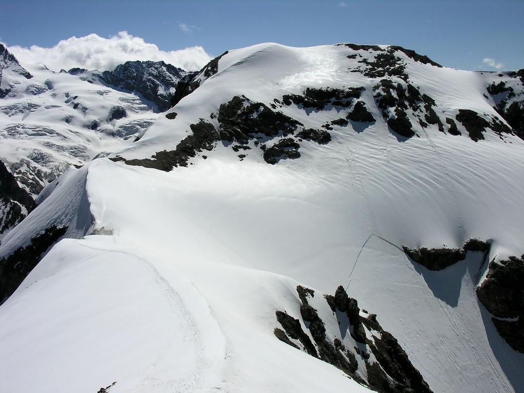 il Mont Brulè osservato dalla vetta della Punta Kurz (24-6-2007)