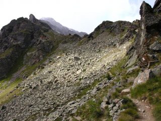 il primo tratto del sentiero che sale verso il Monte Vioz (26-8-2006)