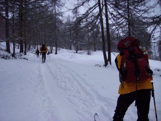 salendo nel bosco sotto la neve