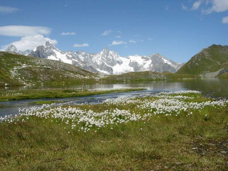Il Mont Dolent dai Lacs Fenetre