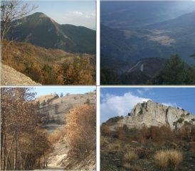 1)la Schiena d'Asino del Morrone 2)panorama verso la piana Somma;vedi it. valle gemmina 3) e 4) Roccatagliata
