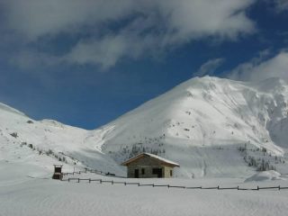 ..il bellissimo Francois da Pian dell'Alpe...foto m.conti