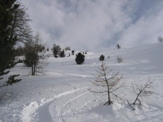 Bella neve sui pendii del Giassez