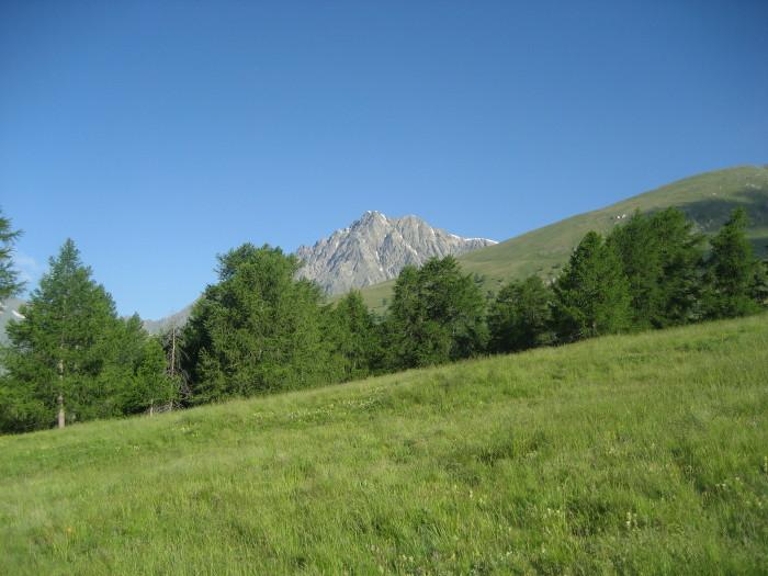 la montagna fotografata all'uscita del bosco di larici poco prima dell'alpe Fontaney