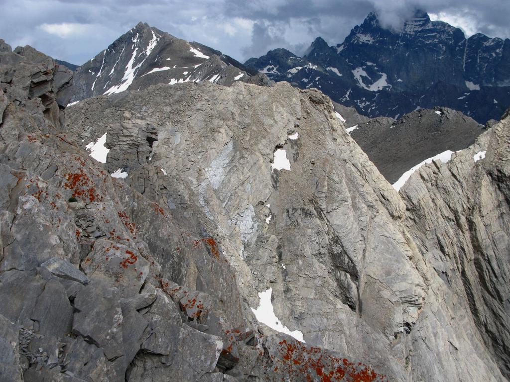 panorami dal Pan di Zucchero : Rocca Rossa (in primo piano) e Monte Aiguillette (sullo sfondo) (12-7-2008)