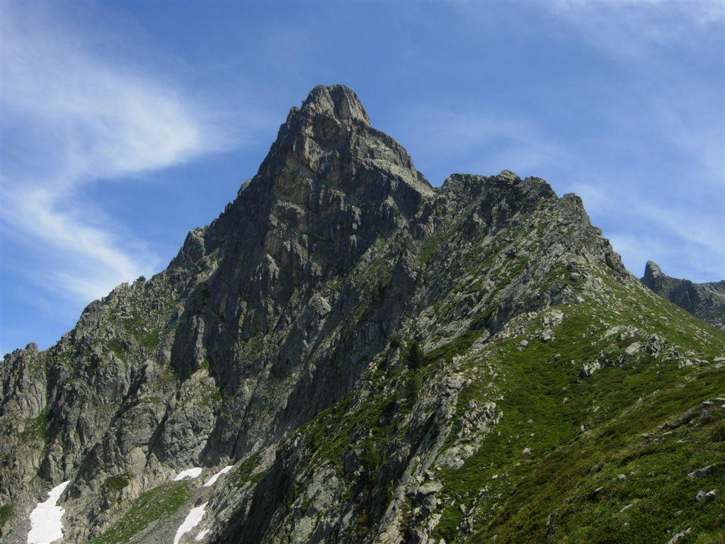 Monte Frisson
