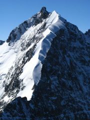 Pizzo Bernina e la splendida Biancograt...visti dalla cima