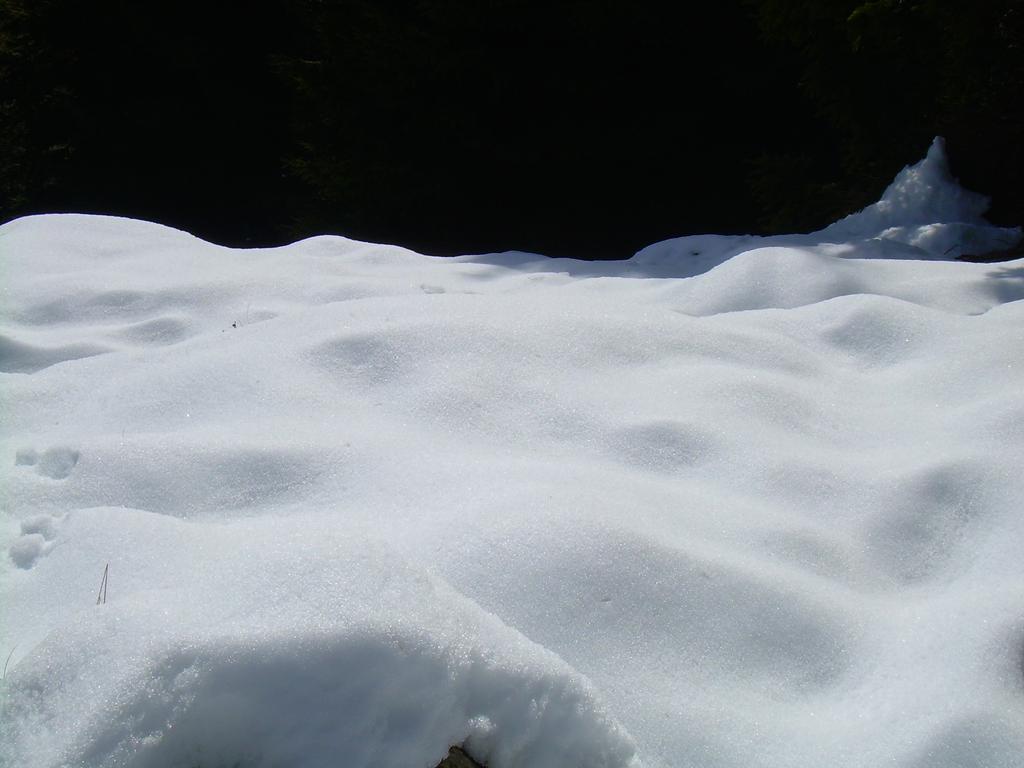 Neve sul sentiero del Beccas