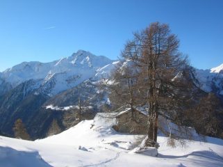 Alpe Hoberg (2005m), sullo sfondo il Mont Nery