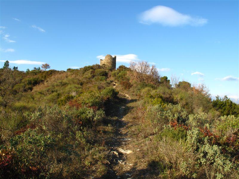 La torre Pisana