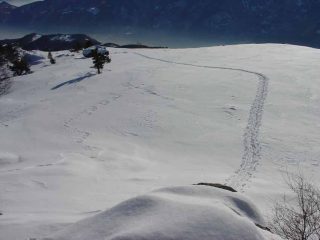 Ripiano dell'Alpe Formica