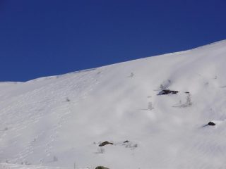 Tracce di discesa sci alp 