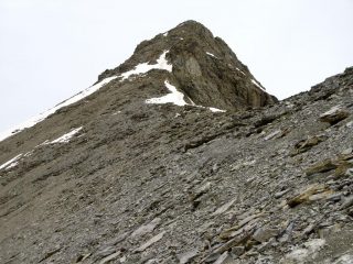 il Mont Pelat osservato dal colletto di quota 2800 m. (1-6-2008)