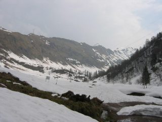 L'ampia Val Biandino, in fondo il Rif. Madonna della Neve