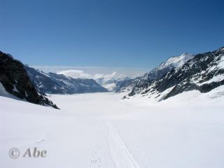 Jungfraufirn