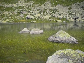 il lago di sagnasse