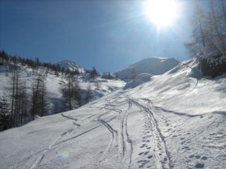Alpe Sorbella Febb-2009-