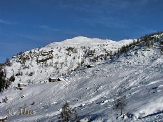 Versante di discesa dall'Alpe Sorbella