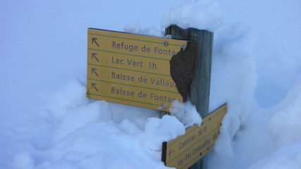cartelli segnaletici sommersi dalla neve (31-1-2010)