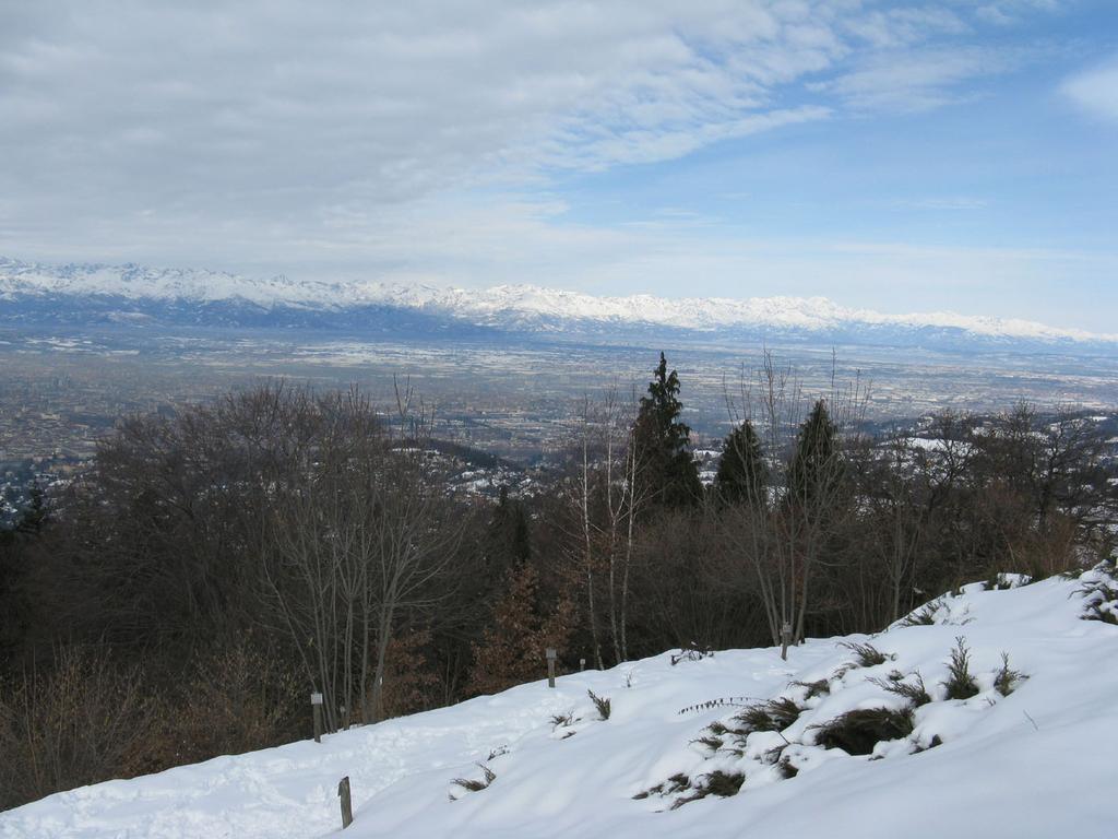 Torino dalla Collina