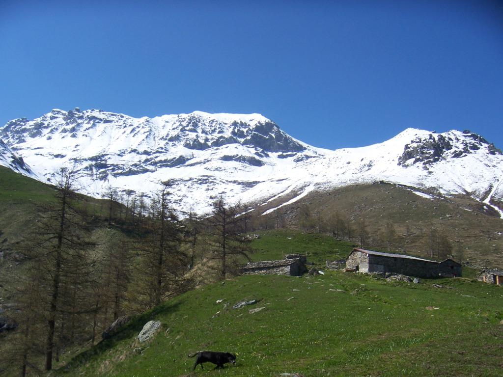 Alpe Pian Pra