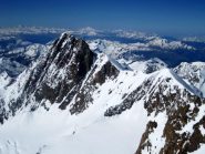 Lex Blanche, Col de la Scie, Aig. des Glaciers dalla cima della Trelatète