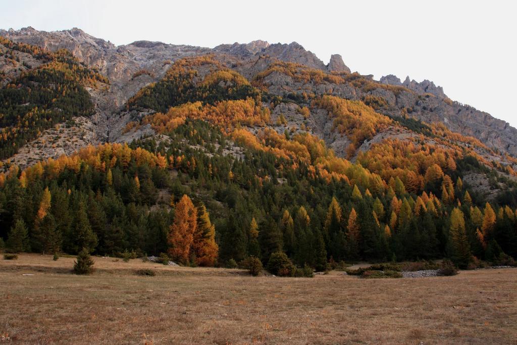 gli splendidi colori autunnali nel primo tratto del vallone seguito (23-10-2010)