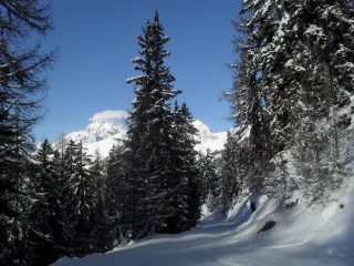 in salita nel bosco ,sullo sfondo il Monte Bianco
