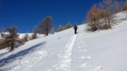 Luciano sale e fa la pista sul versante Sud del Pic de Clausis (1-1-2011)