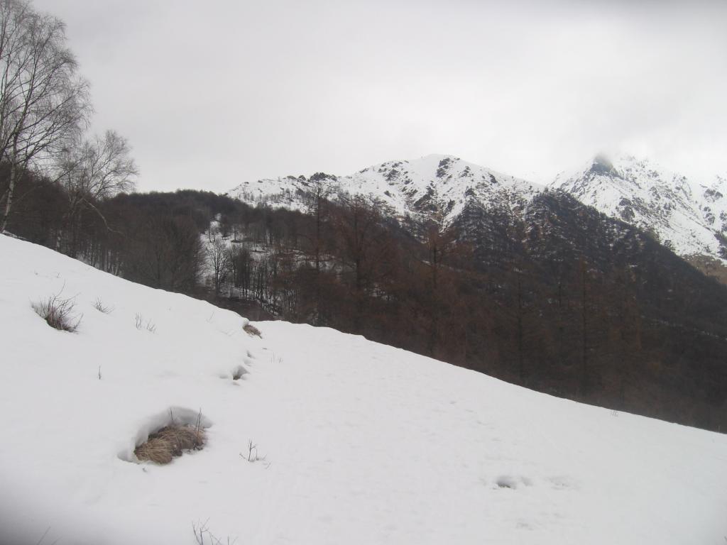 Poco sopra l'alpe Le Piane, la dorsale verso Cima Ventolaro e la cresta del Giandolino, in nebbia.