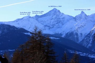 panoramica dal bosco iniziale verso il Gruppo della Grivola (15-1-2011)