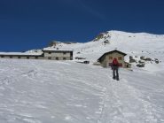 Alpe Palasina mt. 2406