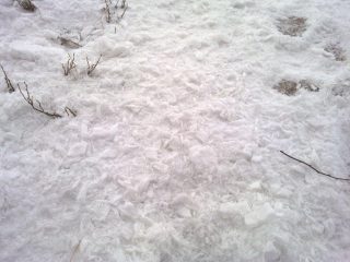 prima neve