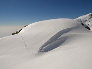 Neve modellata dal vento con tracce di un animale