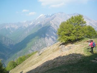 Il Monte Zeda dall'Alpe Leciuri