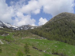 nel vallone d'Arsy ,in vista del primo alpeggio e della cresta ,da sinistra,della punta anonima e del Labiez ,a destra