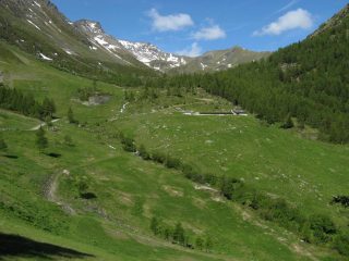 Il vallone percorso, in fondo a dx la Costa Labiez, in primo piano l'Alpe Ars
