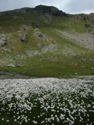 monte Croce dai laghi quota 2585m