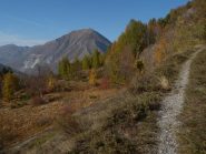 il sentiero all'inizio, sullo sfondo il Monte La Piastra