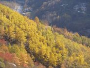 autunno in valle