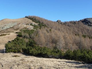 Cresta della Beccas dal Colle Ortigas