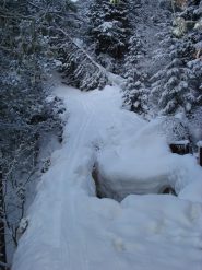 Un suggestivo ponte di neve nel bosco