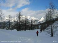 Verso l'Alpe Misanco