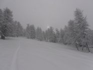 03 - Poco sotto Pian Mesdì. Tantissima neve fresca... sciata totale su questo tratto...
