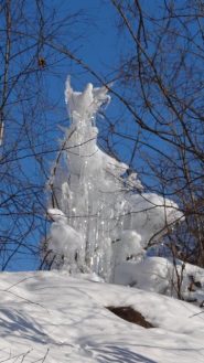 scultura di ghiaccio nautrale